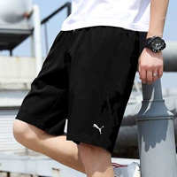 703436-03/нижний/международный размер кода большой