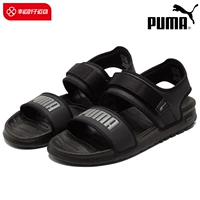 Основная модель картин/сезон дождей высокие потребности