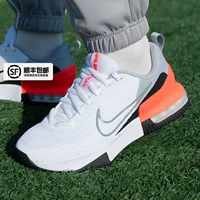 [СФ Экспресс] FQ1833-005