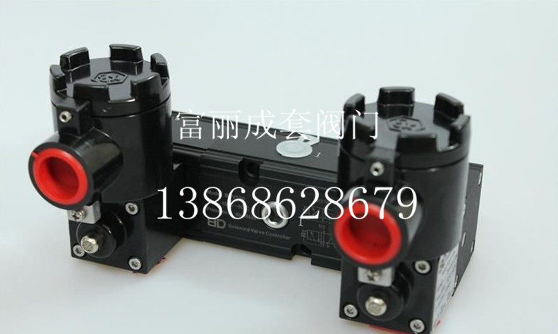 BD flameproof ExdIICT6 solenoid valve BDV520C5-024 SNMI532 BDV520C5-220 GKV510