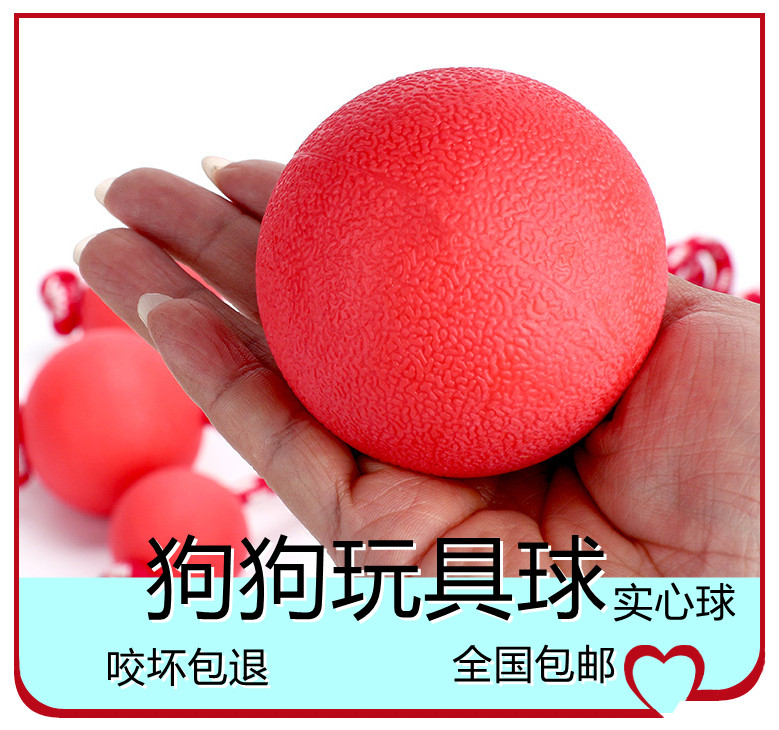 Pet toy solid size ball bite-resistant elastic full molar teasing dog training dog wearing rope ball edge collie