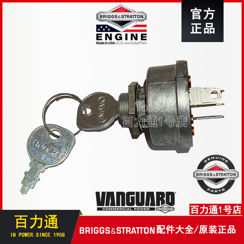 BS Briggs & Stratton gasoline engine two-cylinder VANGUARD key start switch electronic door lock generator cleaning machine