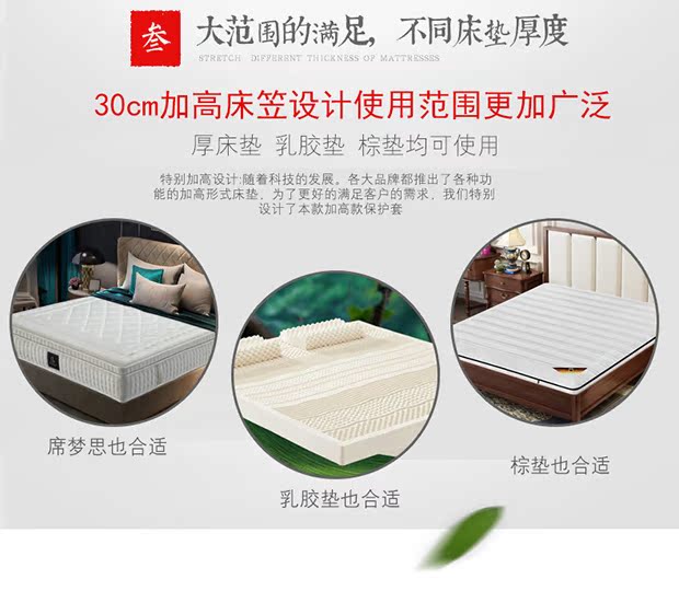 Mùa đông ấm nhung pha lê giường đệm bông Simmons trải giường bảo vệ che bụi che phủ nệm có thể tháo rời 	ga giường bo chun