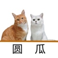 圆瓜宠物用品