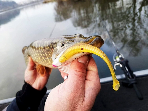 Ужасная высокочастотная качающаяся плавная приманка мягкая приманка 10 см 4,2 грамма 6 подходит для новичков приманка взрывной рыбалки