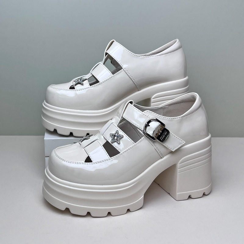 Women's Closed-Toe Sandals 2026 Summer New Style 8cm Thick-Soled Loafers Hollow-Out Pig Cage Shoes High-Heeled Single Shoes