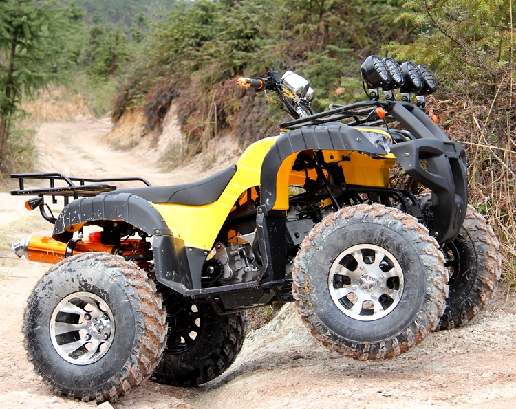 Big Bull 250CC ổ trục khác biệt tất cả các địa hình bốn bánh off-road ATV xe máy xe thể thao karting