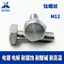 Titanium screw Titanium hexagon screw bolt M12*20 30 40 50 60 70 80 90 100 110