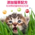 Youqu Cat Liquid Snack Gà Sò điệp Cá ngừ Cá hồi Thức ăn ướt 10gX24 - Đồ ăn nhẹ cho mèo