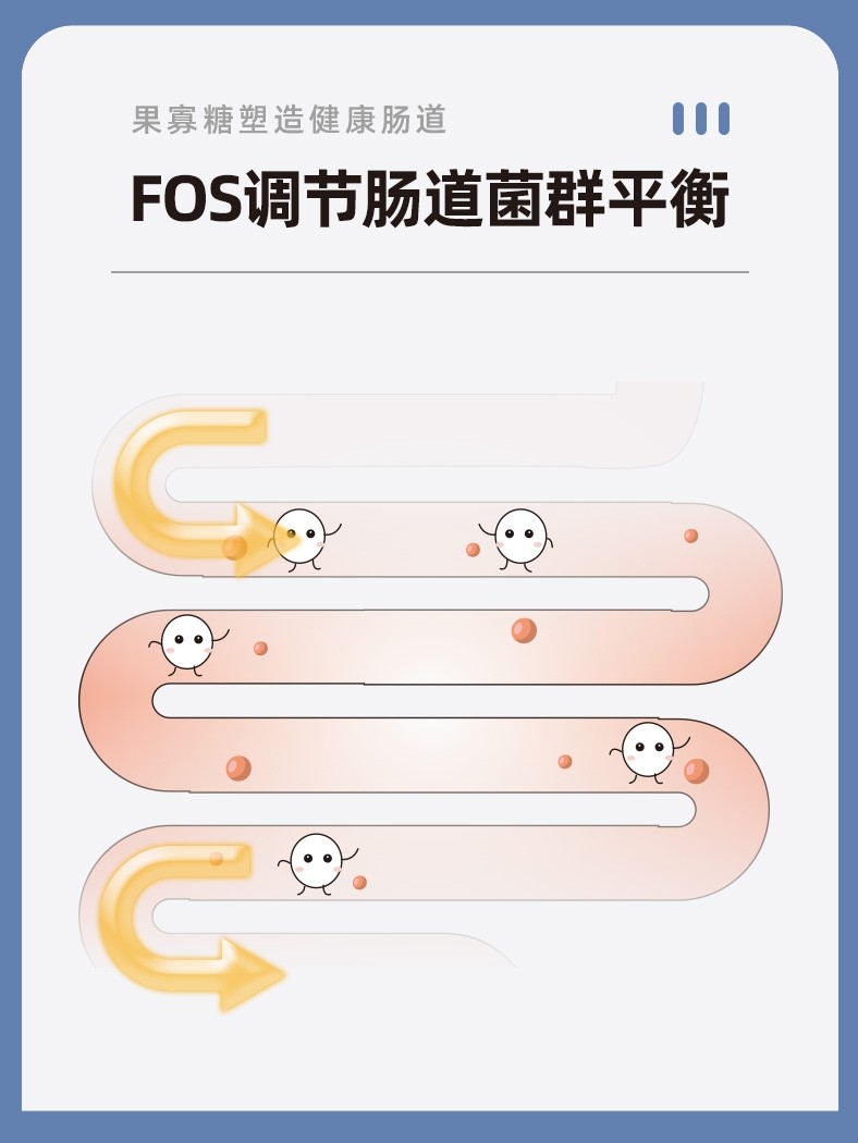 Weita Grain-Free Freeze-Dried All-Stage Dog Food Adult and Puppy Dog Food 2.5Kg/10Kg Freeze-Dried Chicken Egg Yolk Chicken Liver Chunks