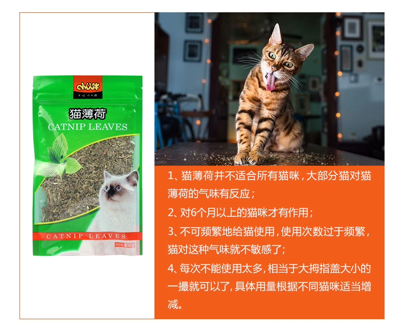 Nếm thử thú cưng Bạn nhỏ Catnip 20g Đồ ăn nhẹ cho mèo Mèo ăn nhẹ Mèo cỏ Nhiều tỉnh - Đồ ăn nhẹ cho mèo