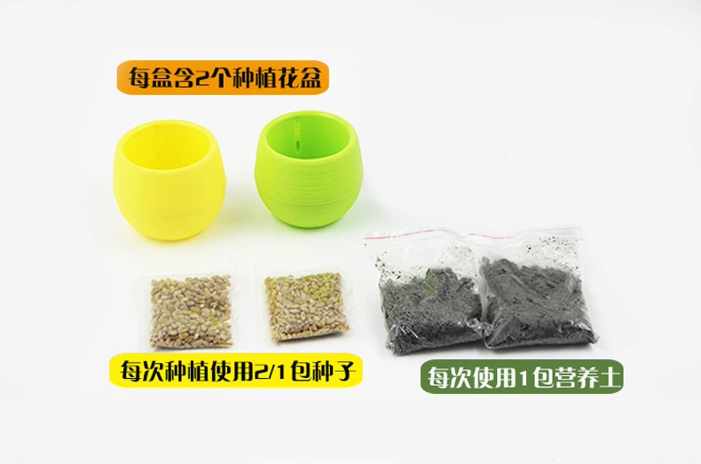 Hương vị nó thú cưng nhỏ hoang dã báo mèo cỏ hộp hạt giống trồng bóng tóc mèo ăn nhẹ có thể được trồng 4 lần