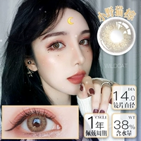 Демон и хороший смешанный -раса маленький кот коричневый