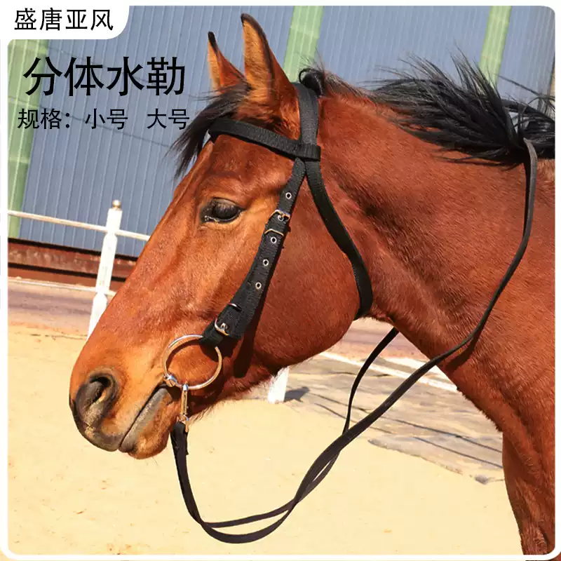 专业马术马具套装大马水勒缰绳组合蓝色马术水勒组双线水勒加棉钩马具