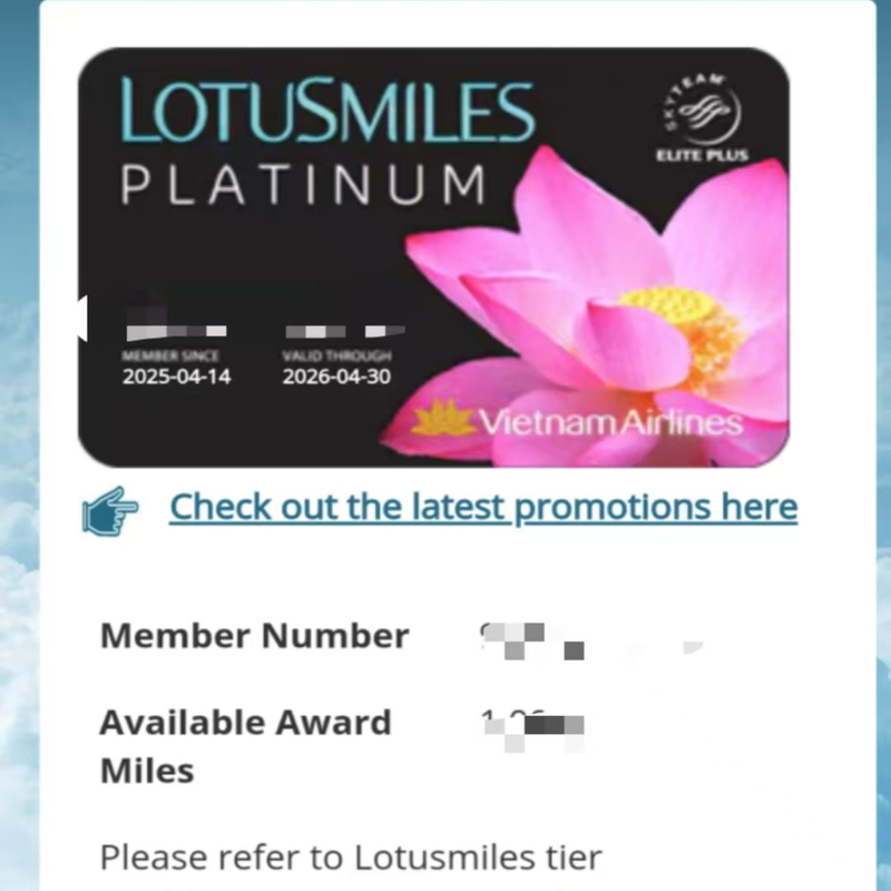 Vietnam Airlines Elite Super Elite Skyteam Elite Elite Plus