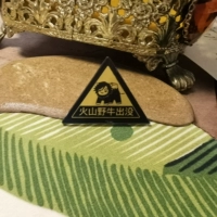 Вулкан скот