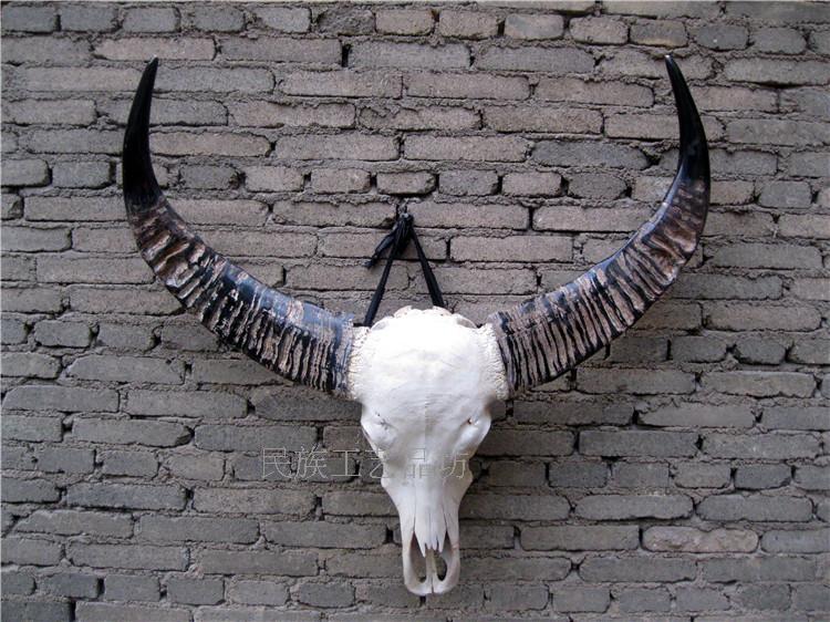 Water Buffalo Skull Wall-mounted Specimen Process Gift Pendulum Decoration Wall Hanging Real Head Tibetan Specialty Town Residence Natural Animal Yak Head Decoration