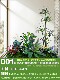 Simulated Landscaping Plants for Indoor and Outdoor Window Displays, Plant Arrangement under Stairs, Simulated Landscaping