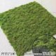 Specialized Landscaping Edging Stones and Small Green Plants