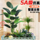 Simulated landscaping combined showcase window decoration set of landscaping under stairs