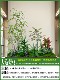 Simulated Green Plant Landscaping Combinations for Indoor and Outdoor Decoration