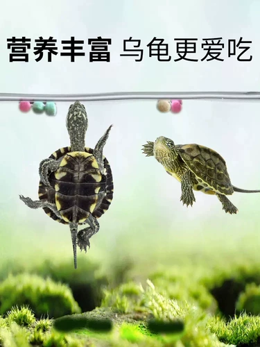 Sensen Little Turtle Universal Turtle Feed Черепаха