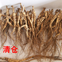 Ginseng mountain ginseng residual branches Changbai Mountain whole branch 1 piece 10g 2 pieces free powder limb Lin Xia field gift box