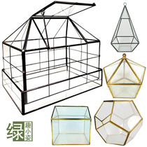 Geometric glass flower house Moss micro landscape ecological bottle succulent plant flower pot creative craft eternal flower dust cover