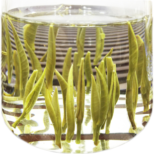 新茶特级罐装散装大白毫银针茉莉花茶
