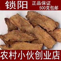 Suoyang Suoyang tablets Inner Mongolia Suoyang Golden Suoyang free powder 500g plus Cistanche