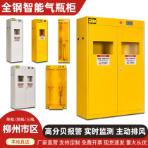 Liuzhou all-steel explosion-proof gas cylinder cabinet laboratory double-bottle hazardous gas storage cabinet chemical safety alarm storage cabinet