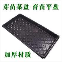 201920 vegetable nursery box 32 hole 50 hole sprouts seedling plate rice sowing culture pot wheat grass seed