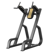 ONIP Australian Nipu Double-Lever Knee Trainer 832 Type Commercial Training Apparatus