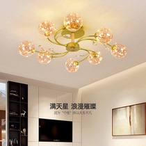 New European living room chandelier home simple restaurant iron ceiling lamp creative modern shaped lamp bedroom lamp