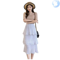  Chiffon skirt womens cake dress 2020 summer new Korean version of the long high-waisted A-line skirt thin pleats