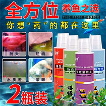 Ornamental fish drug rotten meat Rehabilitation agent Rotten Tail fin bacteria Infection with white eye MoneyEye treatment liquid goldfish brocade carp