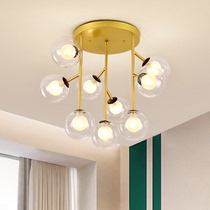 Nordic special-shaped chandelier living room lamp bedroom dining room lamp modern simple Gold LED Iron Magic Bean branch Black