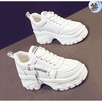  Dad shoes 2019 womens new net red super fire ins Korean version wild casual sports white shoes spring thick