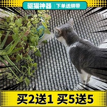 Cat driving pad anti-wild engine driving cat wheel sofa urine anti-bite forbidden area protection flower and grass driving cat artifact