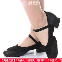 Chen Ting Tape Shoes Ballet Shoes Belly Dance Female Yoga Soft Soft Shoes Leather Teacher