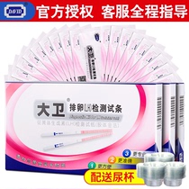 David ovulation test strip Early pregnancy test Pregnancy test ovulation LH high precision pregnant woman precision detector test strip