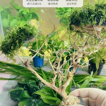 Its on the live stream.