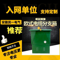 DFW-12 630 high-pressure European-style cable branch case 10kv one-in-one-outlet cable branch case stainless steel housing
