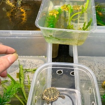 Lets choose a boutique flame