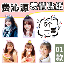 Feqin Yuan Round Large Head Patch Paper Mobile Phone Handledger Frosted Sticker Star Perimeter Custom Set