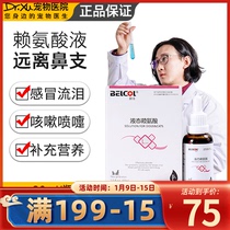 Baika cat nose branch lysine cat ammonia cold cat cat with cat amine runny nose nose branch tears kitten sneezing