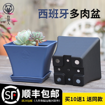 Shepherd Multimeat Flower Pot Package Combo Meat Flower Pots Creative Personality Cute Plastic Big Caliber Small Flower Pots