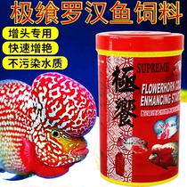 The best Luohan fish feed Hua Luohan increased head start to increase the special feed fish food fish food fish grain new small grain New