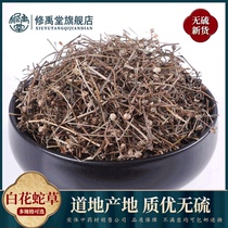 White flower snake grass 50g-1000g White flower tongue grass Baihua snake grass Chinese herbal medicine