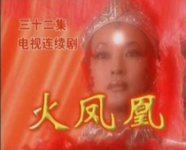 DVD version Fire Phoenix] Liu Xiaoqing Tian Shaojun 32 episodes 2 discs